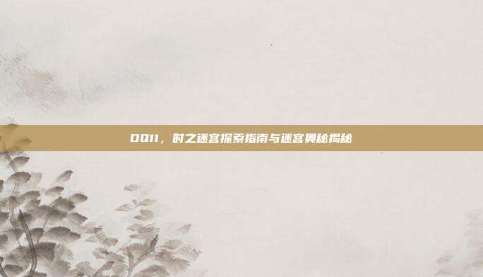 DQ11,时之迷宫探索指南与迷宫奥秘揭秘