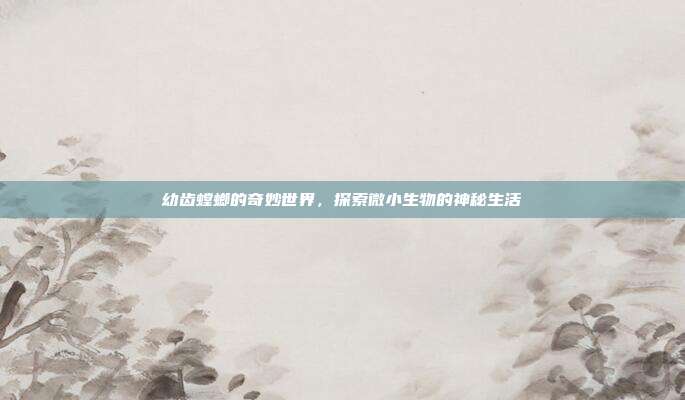 幼齿螳螂的奇妙世界,探索微小生物的神秘生活