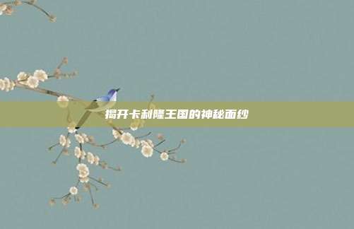 揭开卡利隆王国的神秘面纱