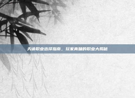 天谕职业选择指南,玩家青睐的职业大揭秘