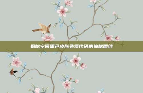 揭秘空间黑色皮肤免费代码的神秘面纱