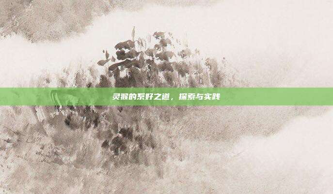 灵猴的系好之道,探索与实践