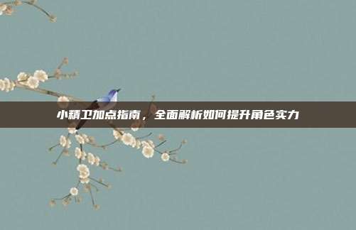 小精卫加点指南,全面解析如何提升角色实力
