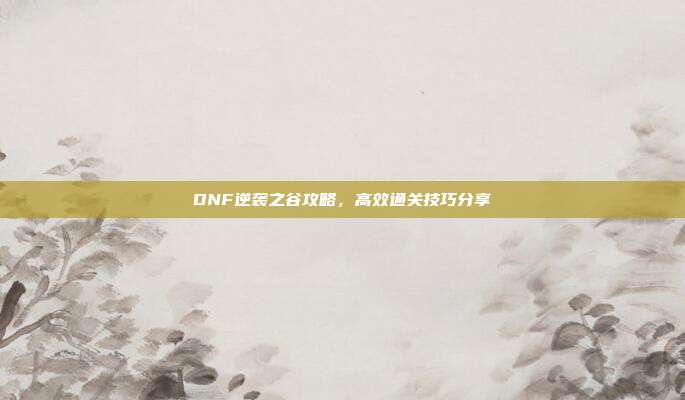 DNF逆袭之谷攻略,高效通关技巧分享