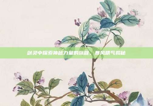 剑灵中探索神秘力量的旅程,暴风精气揭秘