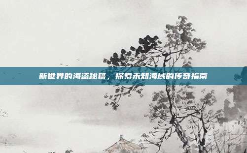 新世界的海盗秘籍,探索未知海域的传奇指南