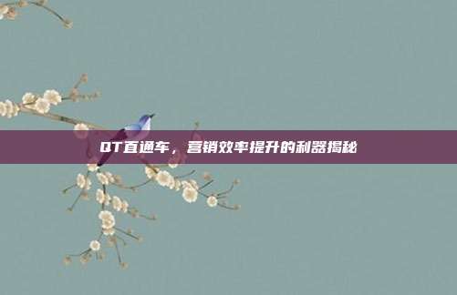 QT直通车,营销效率提升的利器揭秘