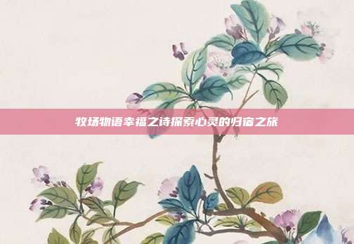 牧场物语幸福之诗探索心灵的归宿之旅