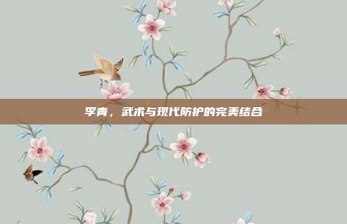 李青,武术与现代防护的完美结合