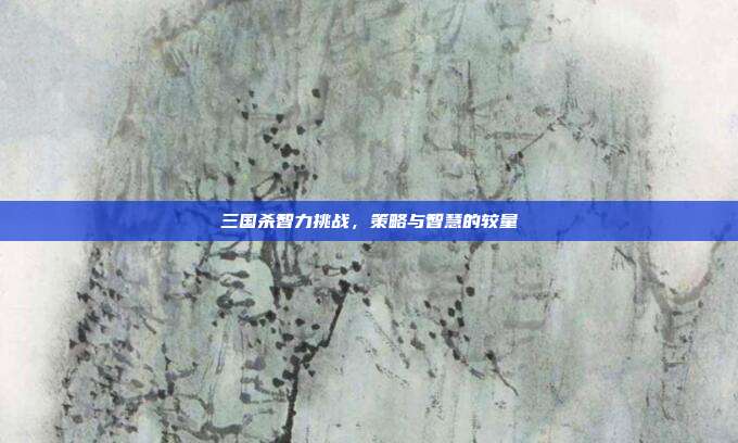 三国杀智力挑战,策略与智慧的较量
