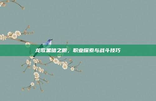龙歌黑暗之眼,职业探索与战斗技巧