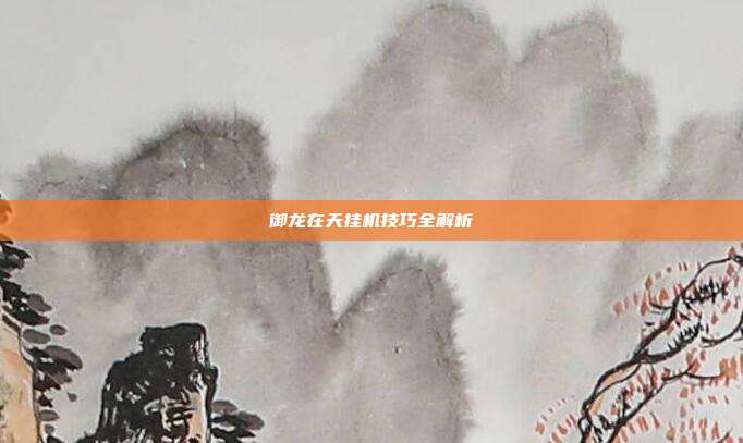 御龙在天挂机技巧全解析