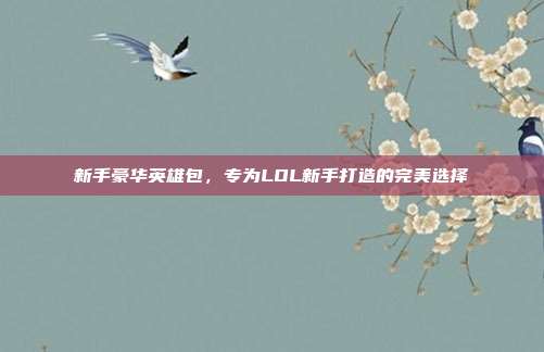 新手豪华英雄包,专为LOL新手打造的完美选择