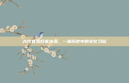 古代官员归家沐浴,一幕历史中的文化习俗