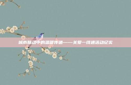 城市脉动中的温暖传递——关爱一线通活动纪实