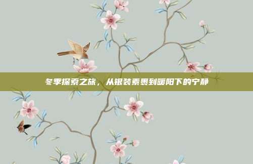 冬季探索之旅,从银装素裹到暖阳下的宁静
