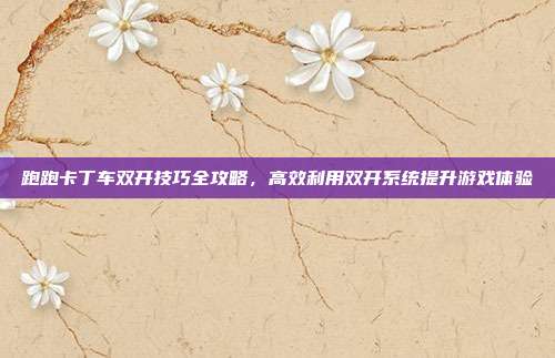 跑跑卡丁车双开技巧全攻略,高效利用双开系统提升游戏体验