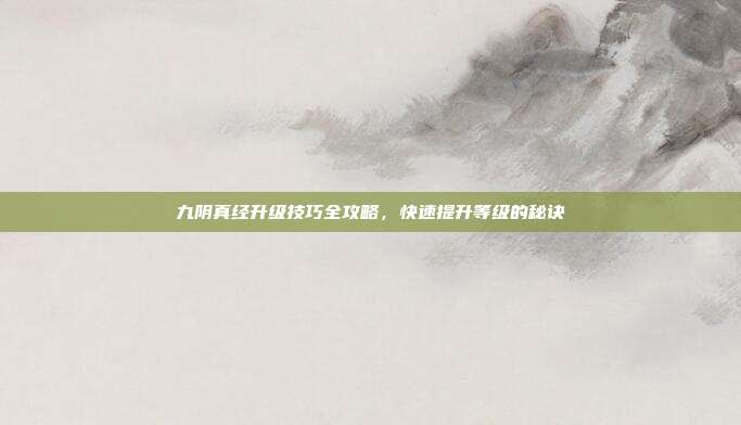 九阴真经升级技巧全攻略,快速提升等级的秘诀