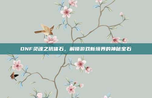 DNF灵魂之抗体石,解锁游戏新境界的神秘宝石
