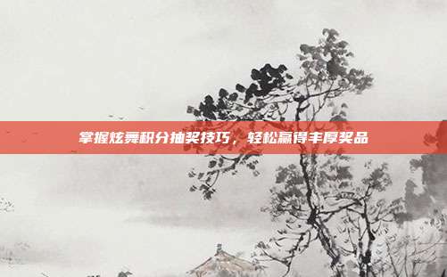 掌握炫舞积分抽奖技巧,轻松赢得丰厚奖品