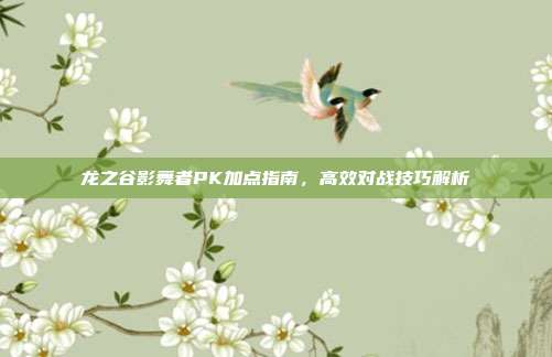 龙之谷影舞者PK加点指南,高效对战技巧解析