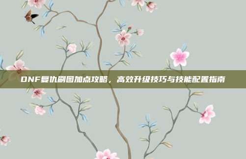 DNF复仇刷图加点攻略,高效升级技巧与技能配置指南
