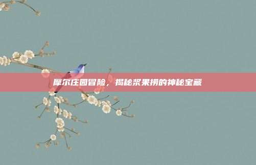 摩尔庄园冒险,揭秘浆果捞的神秘宝藏
