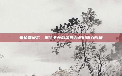 弗拉基米尔,学生会长的领导力与影响力剖析