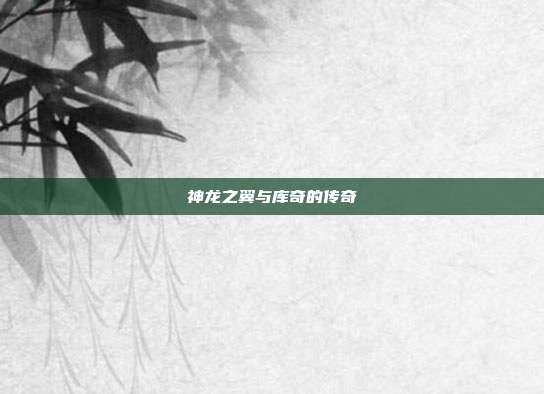 神龙之翼与库奇的传奇