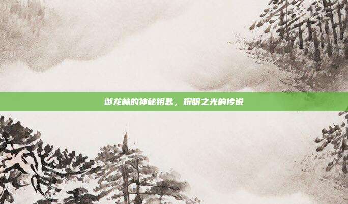 御龙林的神秘钥匙,耀眼之光的传说