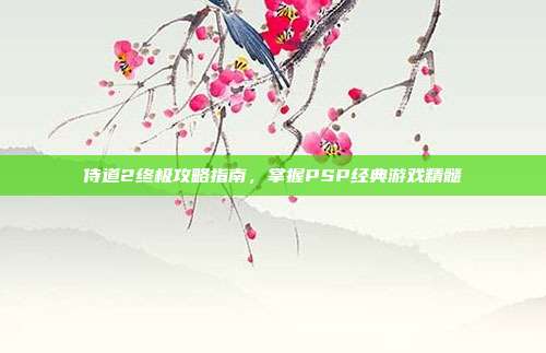 侍道2终极攻略指南,掌握PSP经典游戏精髓
