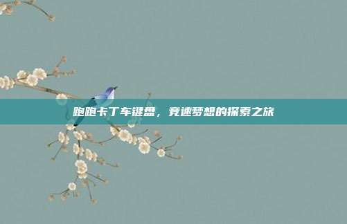 跑跑卡丁车键盘,竞速梦想的探索之旅