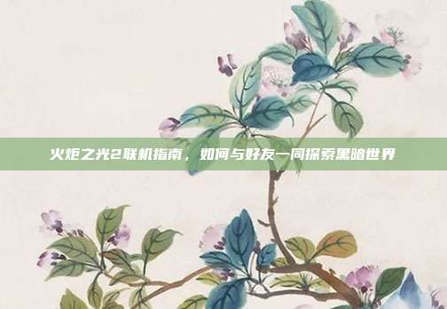 火炬之光2联机指南,如何与好友一同探索黑暗世界