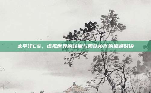 太平洋CS,虚拟世界的较量与团队协作的巅峰对决