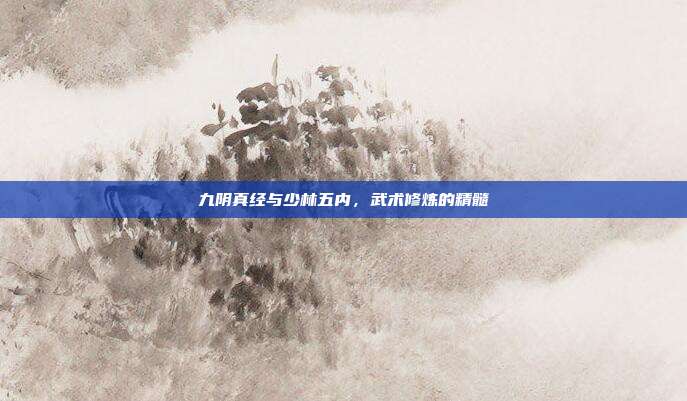 九阴真经与少林五内,武术修炼的精髓