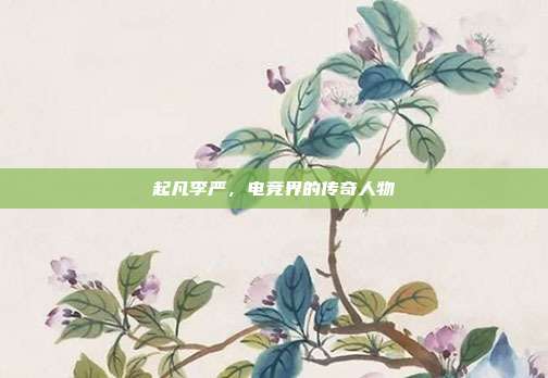 起凡李严,电竞界的传奇人物