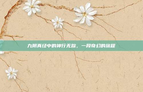 九阴真经中的神行无踪,一段奇幻的旅程