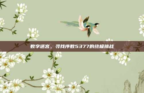 数字迷宫,寻找序数5377的终极挑战