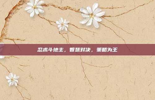 忍术斗地主,智慧对决,策略为王