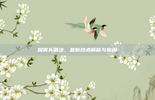 烟雾头调法,最新技术解析与应用