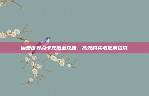 魔兽世界点卡充值全攻略,高效购买与使用指南