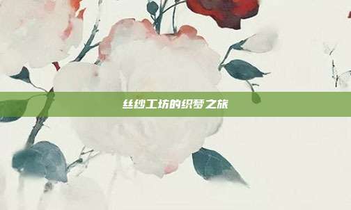丝纱工坊的织梦之旅