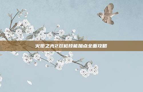 火炬之光2双枪技能加点全面攻略