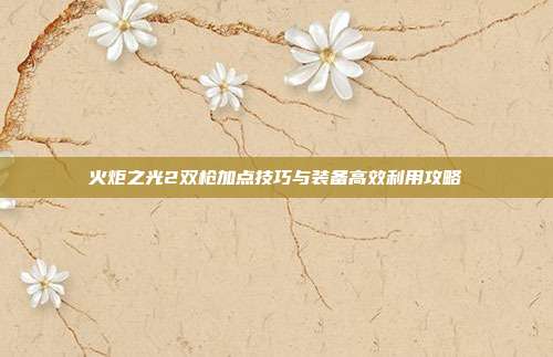 火炬之光2双枪加点技巧与装备高效利用攻略