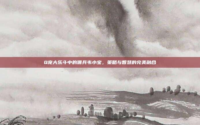 Q宠大乐斗中的佣兵韦小宝,策略与智慧的完美融合