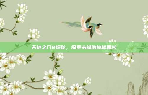 天地之门2揭秘,探索未知的神秘面纱