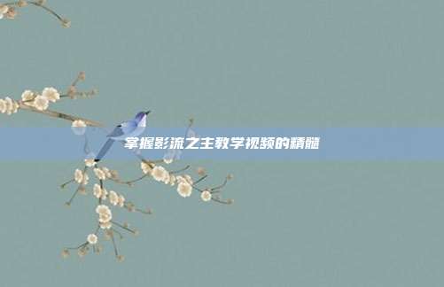 掌握影流之主教学视频的精髓