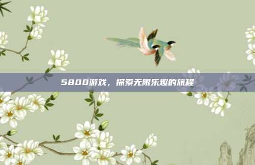 5800游戏,探索无限乐趣的旅程
