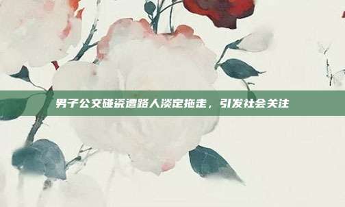 男子公交碰瓷遭路人淡定拖走,引发社会关注