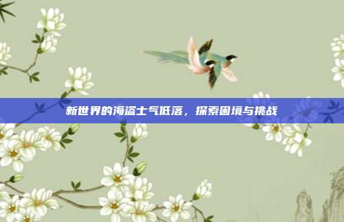 新世界的海盗士气低落,探索困境与挑战